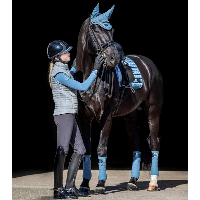 LeMieux Loire Fly Hood - Ice Blue-1